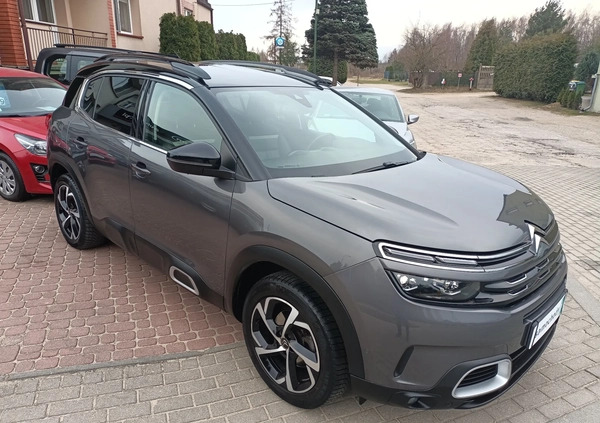 Citroen C5 Aircross cena 99900 przebieg: 38977, rok produkcji 2019 z Kruszwica małe 436